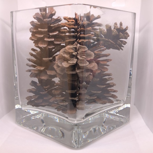Beautiful Square Heavy Glass Vase with 1 Dozen (12) Northeast Pine Cones 7” Vase - Picture 6 of 8
